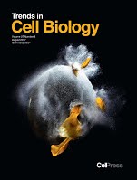New review published in Trends in Cell Biology